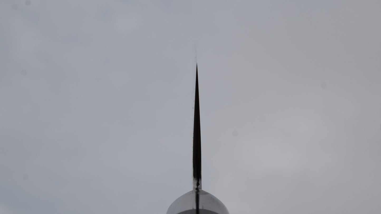 Hitohira T10 Tsuchime Gyuto 180mm Pakka Handle