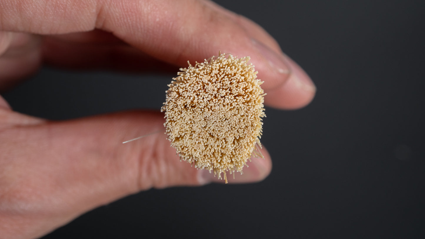 Kanaya Kitchen Brush (Tampico)
