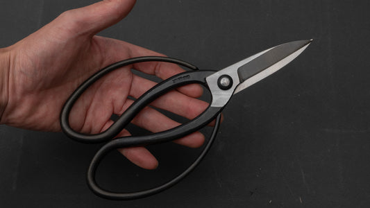 Morihei Kikuyu Kurouchi Okubo Pruning Shears 195mm (Narrow)