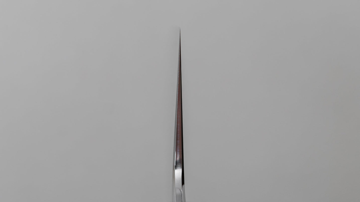Tetsujin Zilver #3 Kasumi Gyuto 240 mm Taihei Tagayasan-handvat