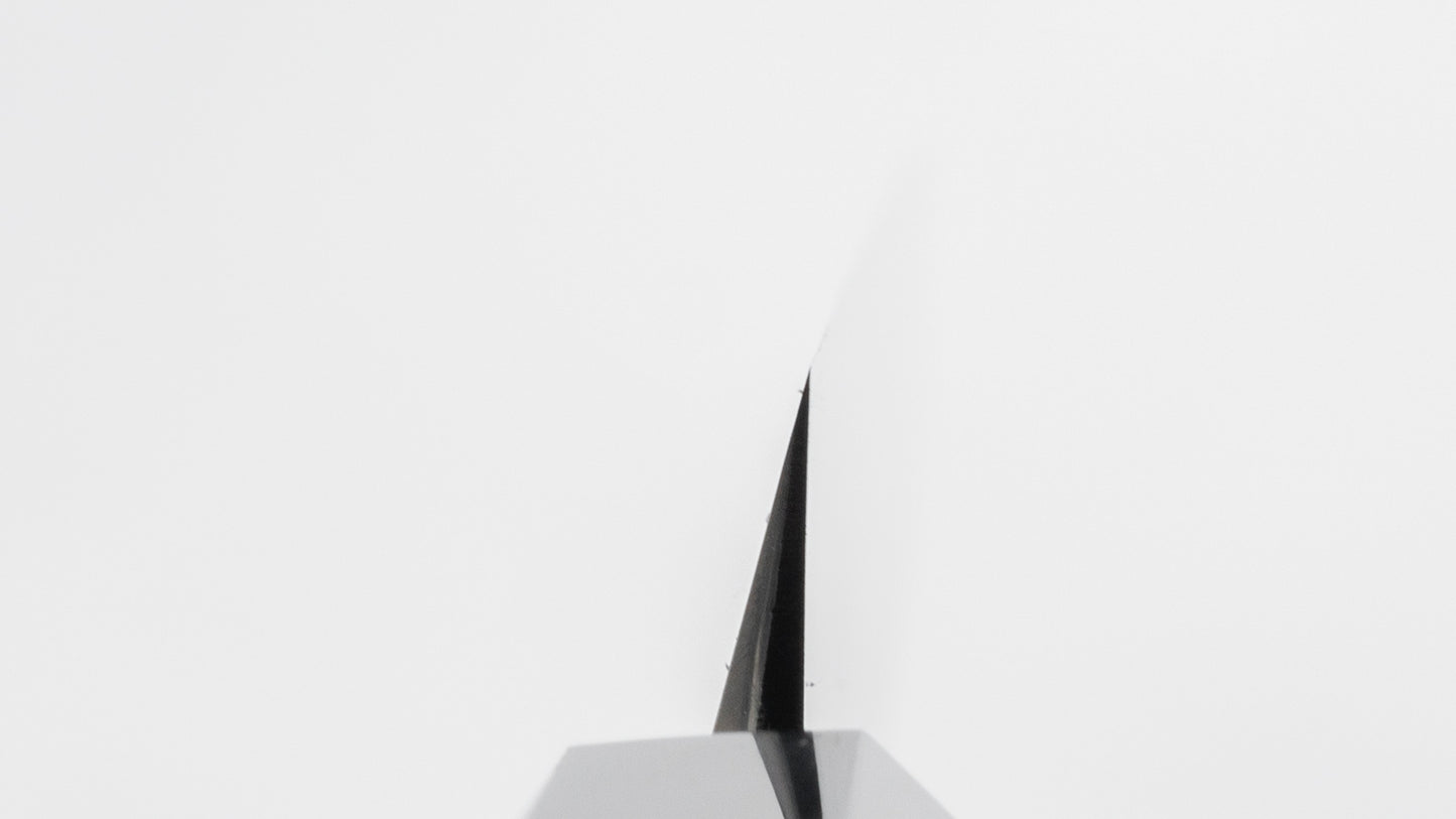 Hitohira Kikuchiyo Manzo Blue #2 Sakimaru Takobiki 270mm Ho Wood Handle (Saya)