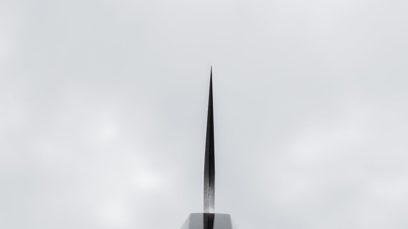 Hitohira Togashi Blue #1 roestvrij beklede Gyuto 240 mm Taihei ebbenhouten handvat