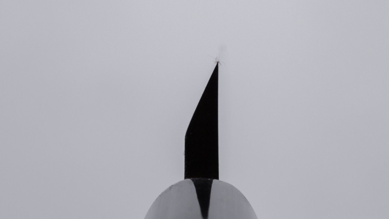 Morihei Hisamoto Vintage White Steel Saki Deba 105mm Ho Wood Handle