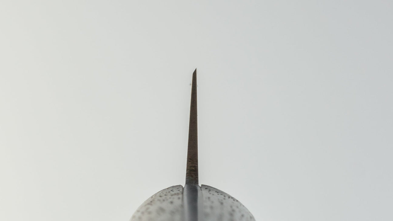 Kanehide Bessaku Sujihiki 270mm Rosewood Handle