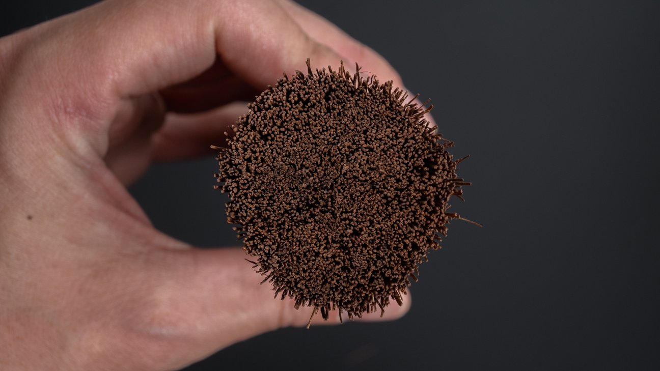 Kanaya Kitchen Tawashi Brush (Palm)