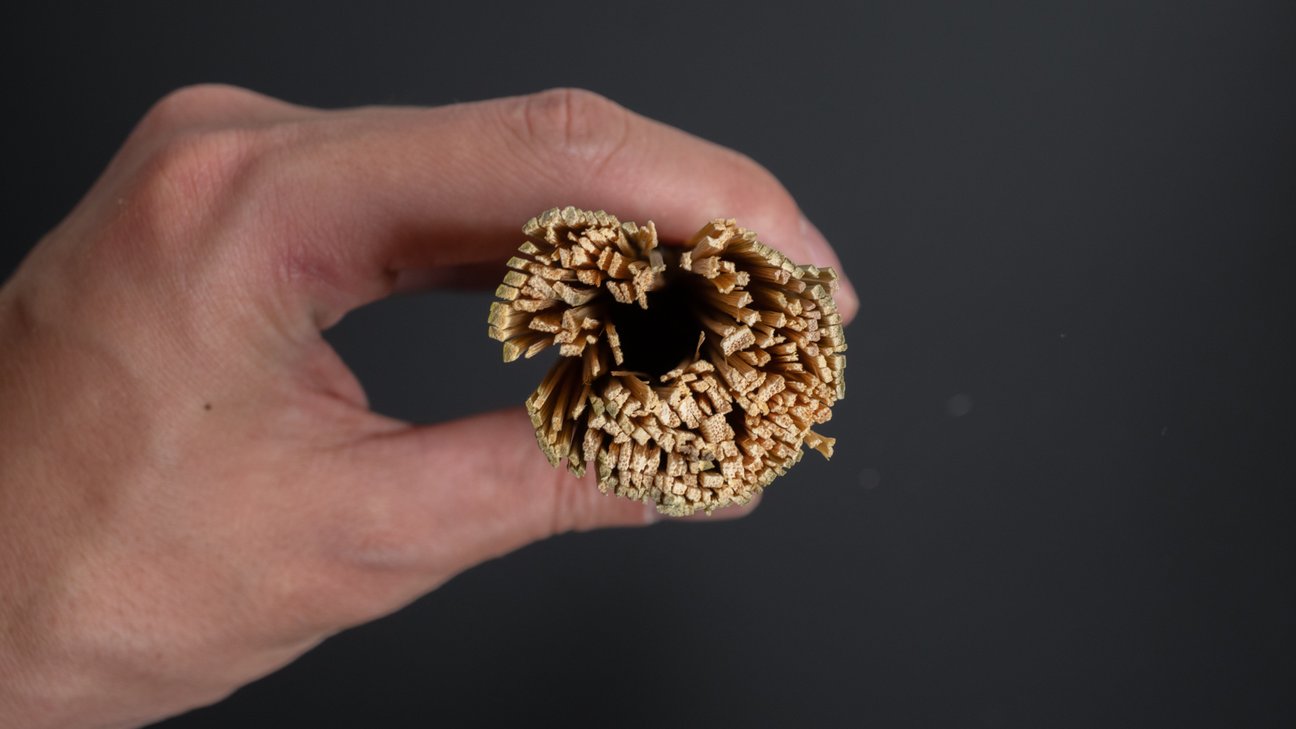 Kanaya Sasara Brush Medium (Bamboo)