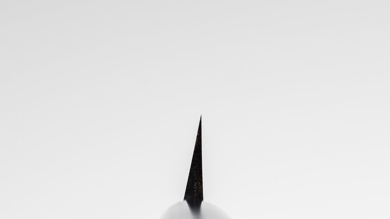 Morihei Munetsugu White #2 Yanagiba 210mm Ho Wood Handle (Fine Finish)