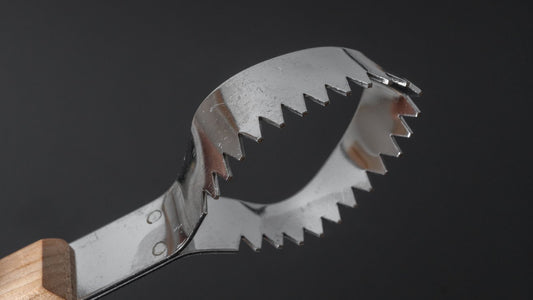 Hitohira New Fish Scaler