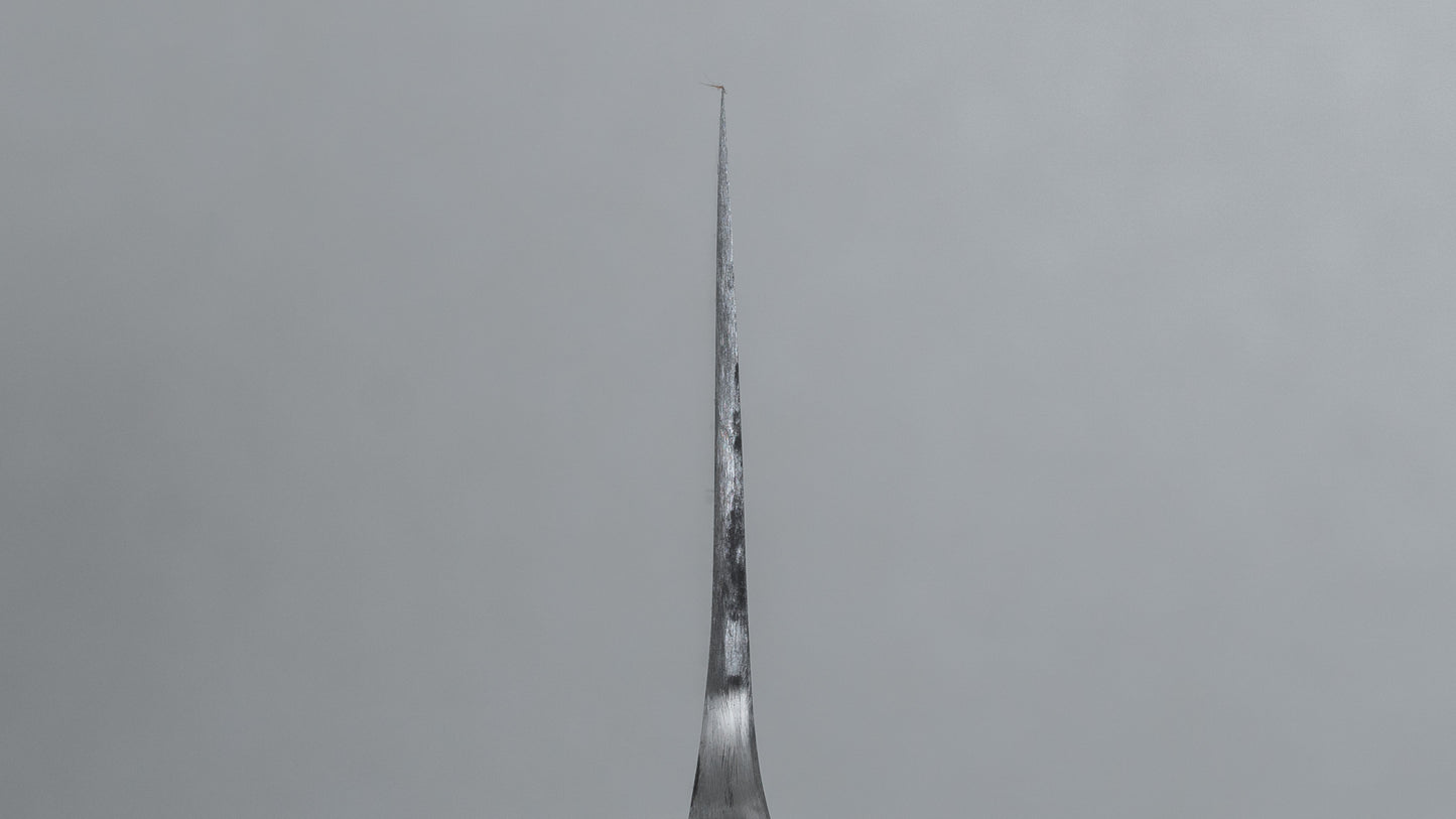 Jiro Tsuchime Wa Gyuto 225 mm Taihei Tagayasan-handvat (#613)