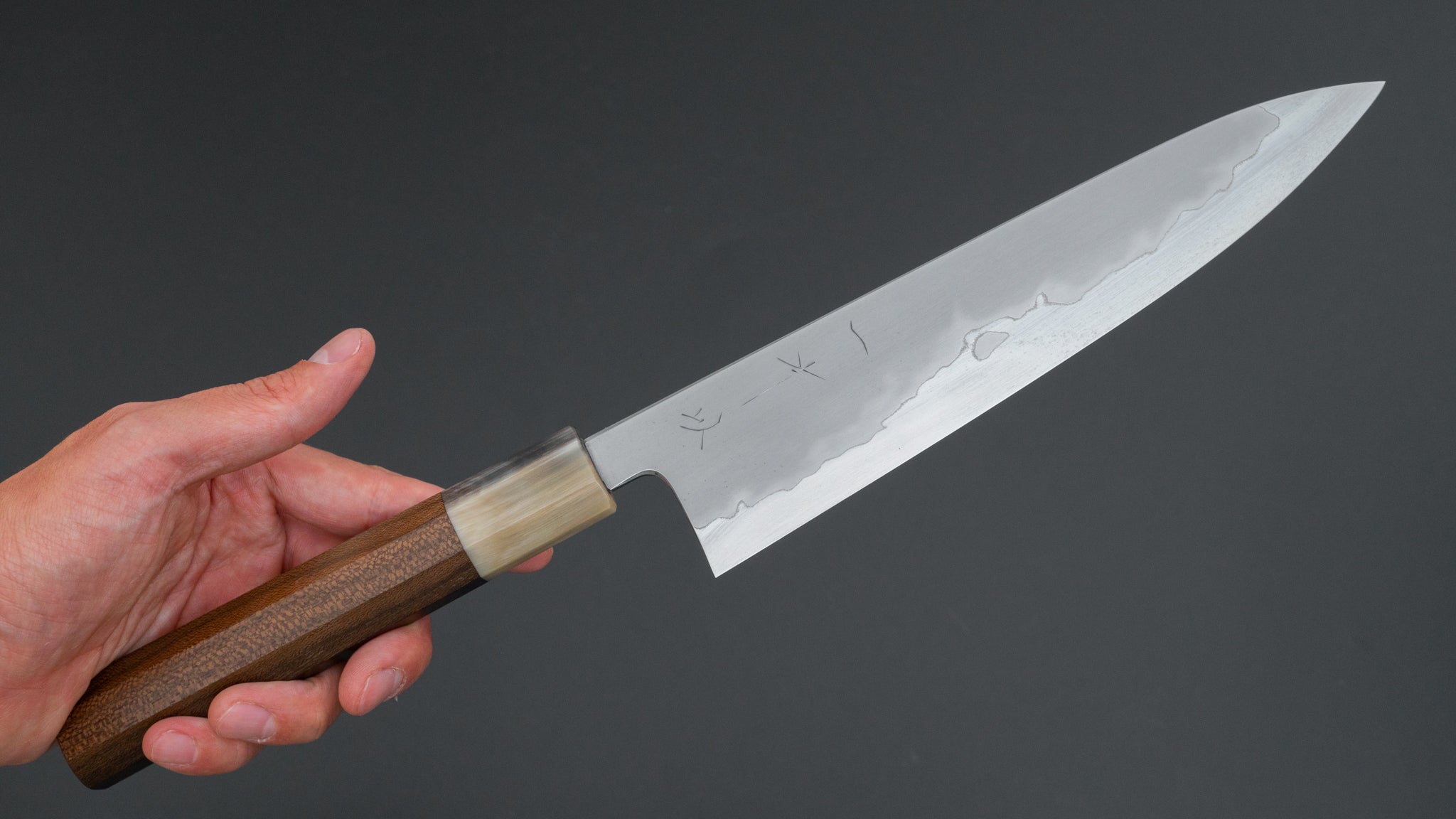 Hitohira Tanaka Izo Blue #1 Stainless Clad Gyuto 210mm Ziricote