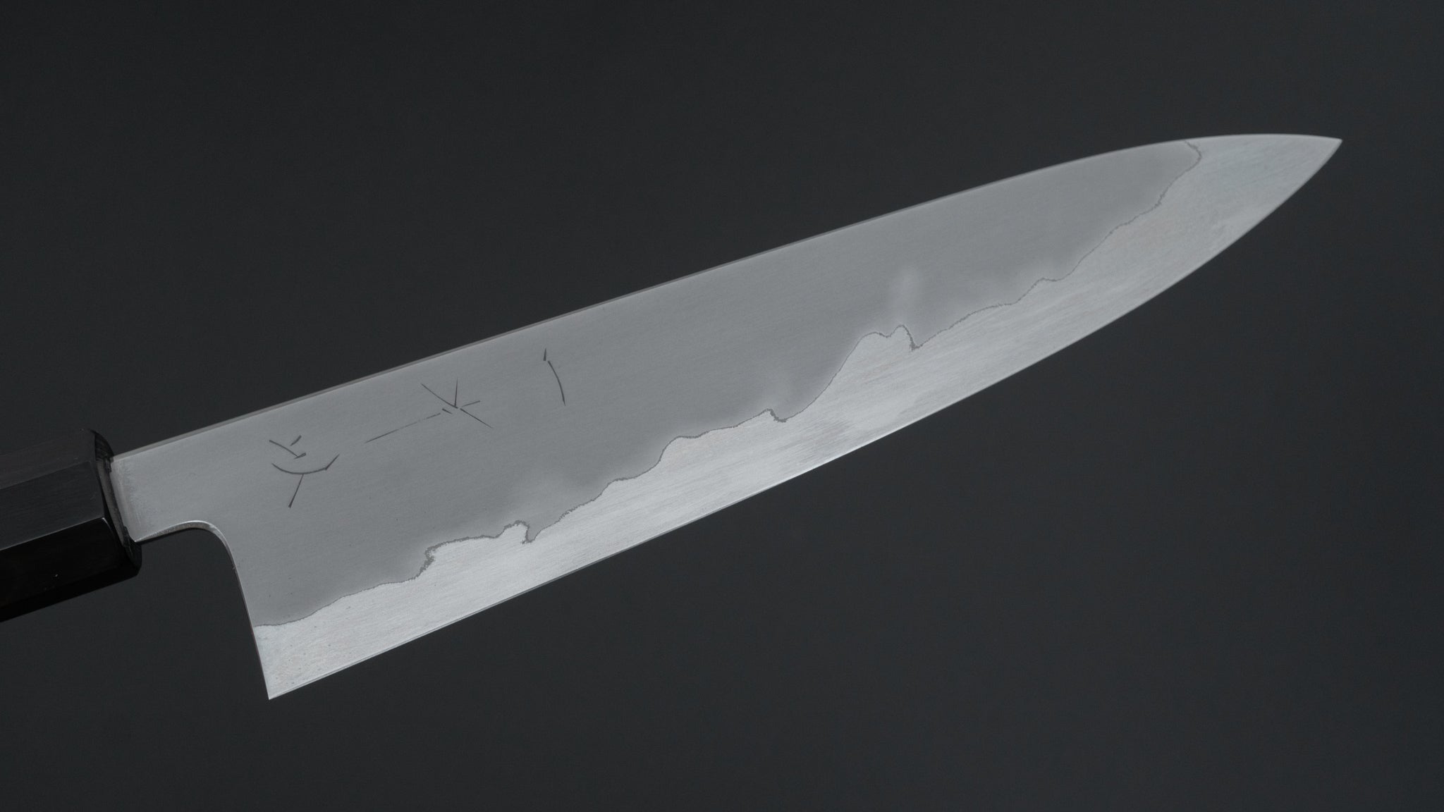 Hitohira Tanaka Izo Blue #1 Stainless Clad Gyuto 210mm Ziricote