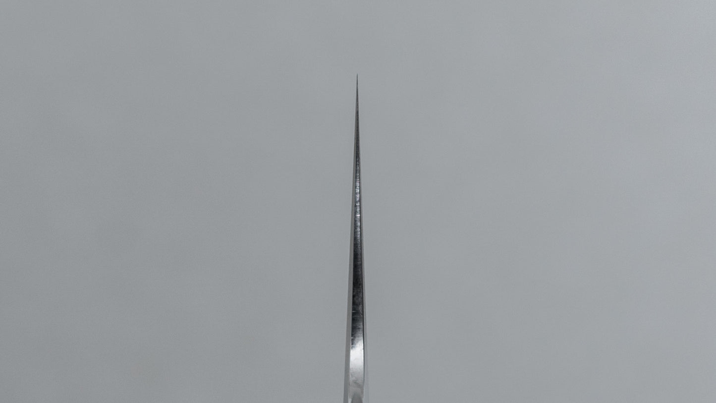 Tetsujin Silver #3 Ukiba Gyuto 210mm Taihei Makassar Ebony Handle