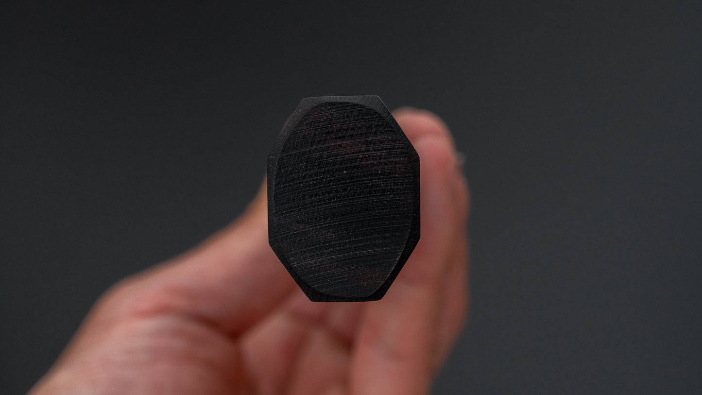 Tetsujin Zilver #3 Ukiba Gyuto 240 mm Taihei Makassar ebbenhouten handvat