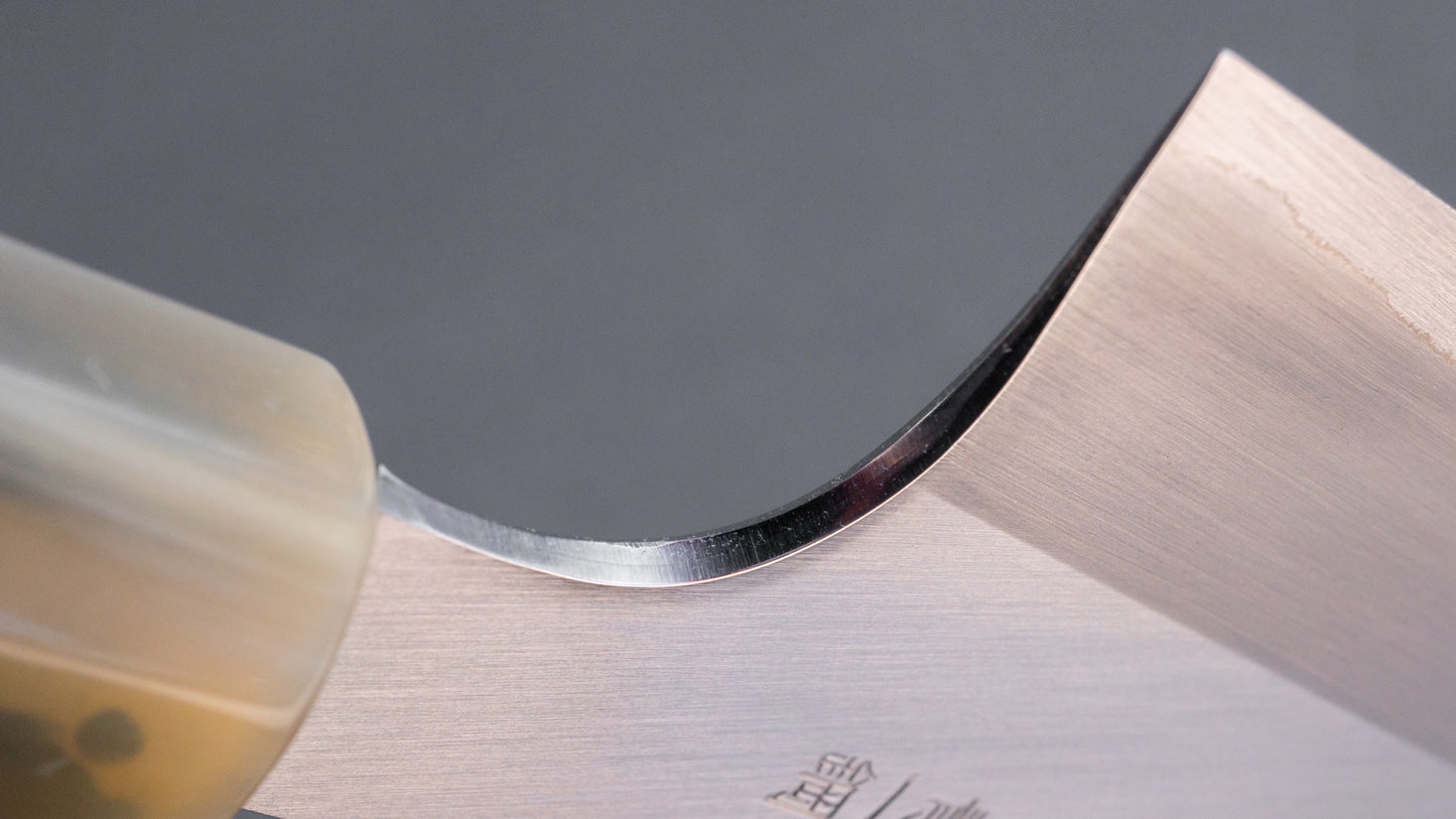 Hitohira Togashi Blue #1 roestvrij beklede Migaki Gyuto 210 mm ziricote handgreep