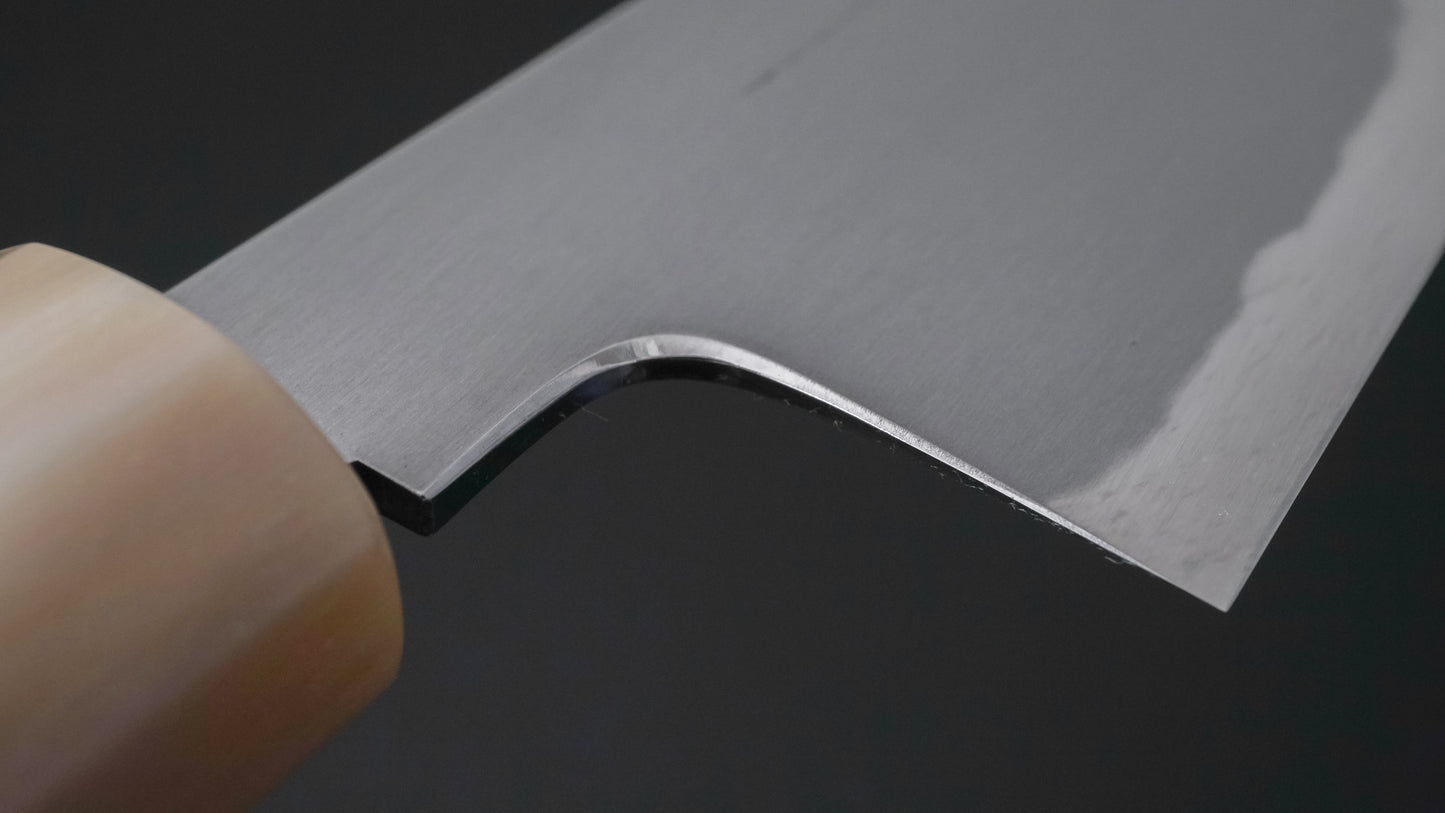 Tetsujin Blue #2 Kasumi Kiritsuke Gyuto 210 mm Ho houten handvat