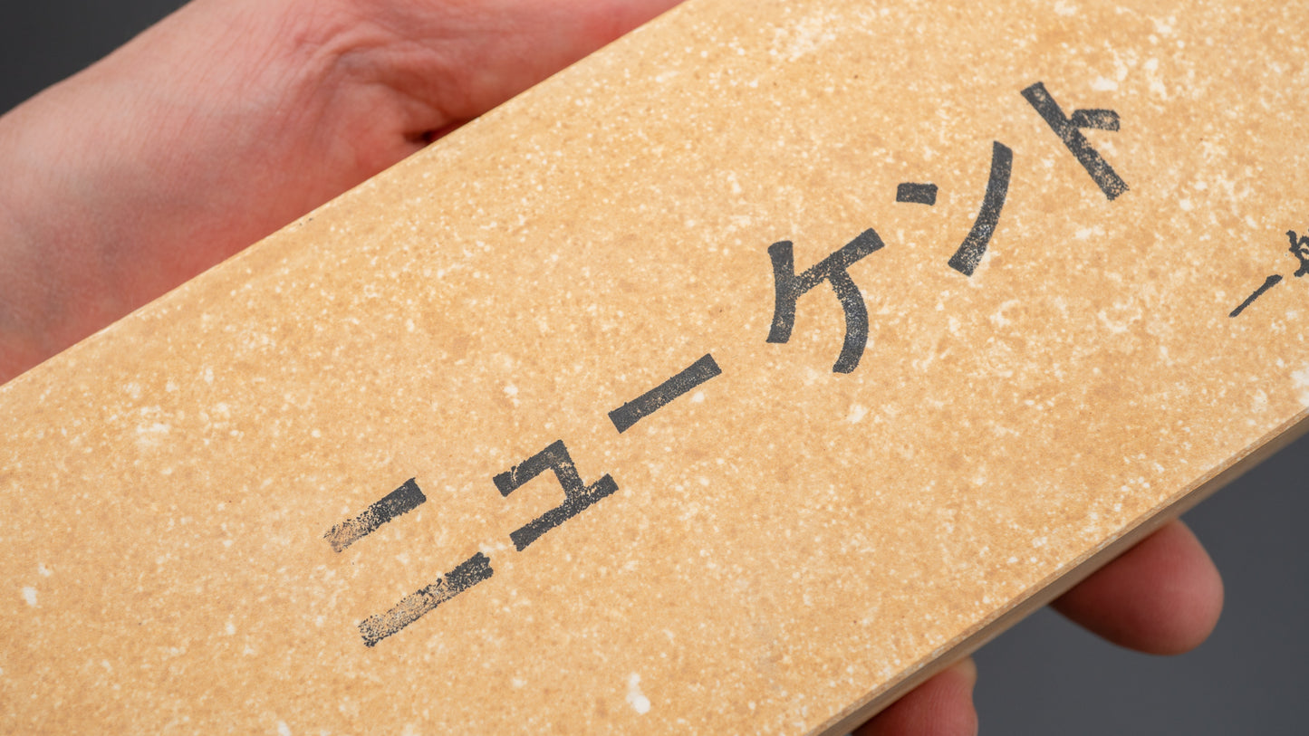 Tanaka Toishi New Kent Whetstone #1000 (Softer)