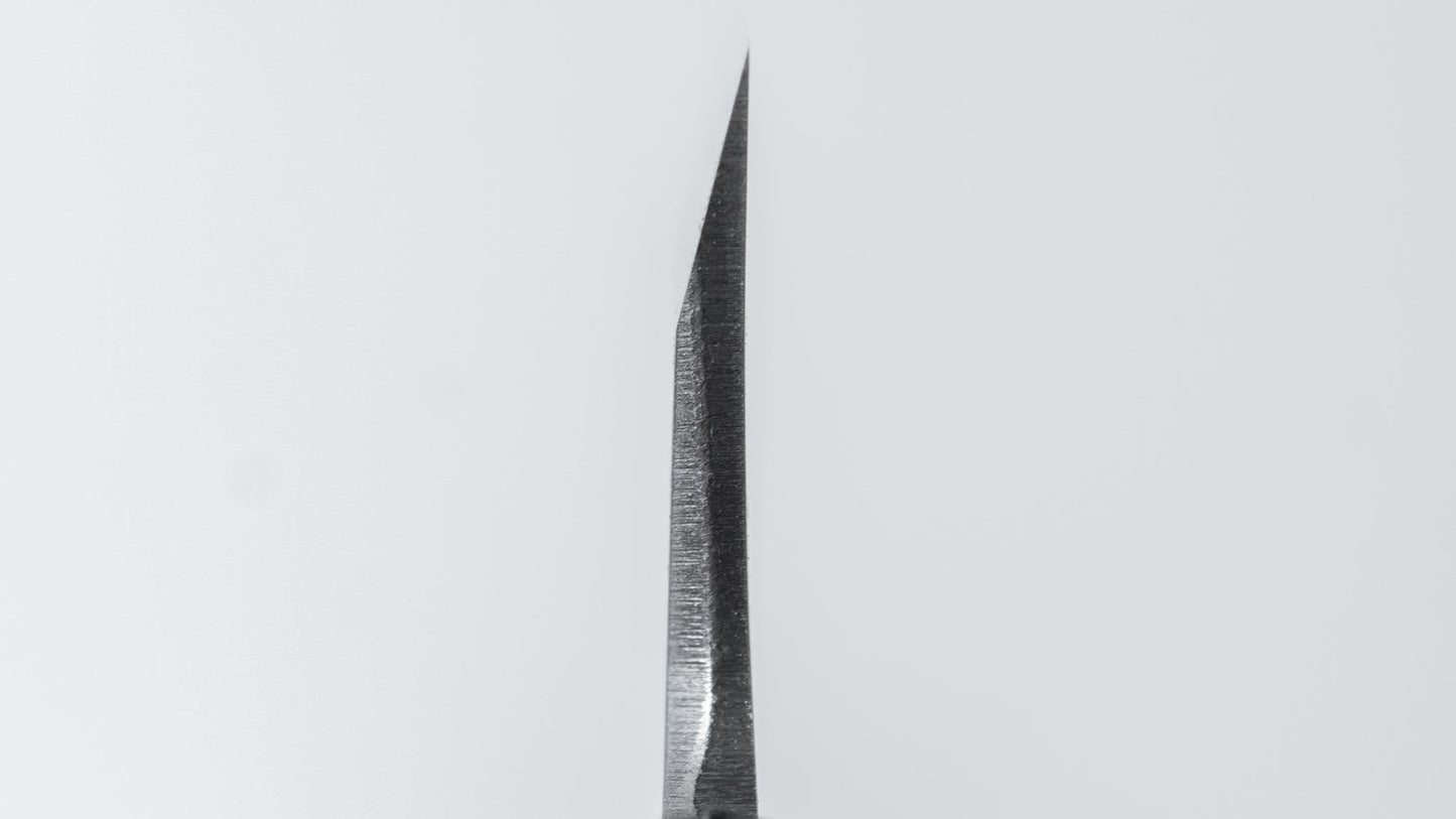 Hitohira Togashi White #2 Deba 120mm Ho Wood Handle (D-Shape/ Saya)