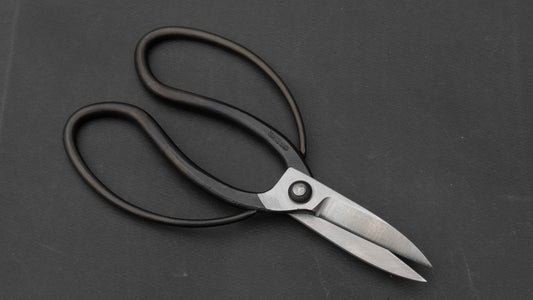 Morihei Kikuyu Kurouchi Okubo Pruning Shears 195mm (Narrow)