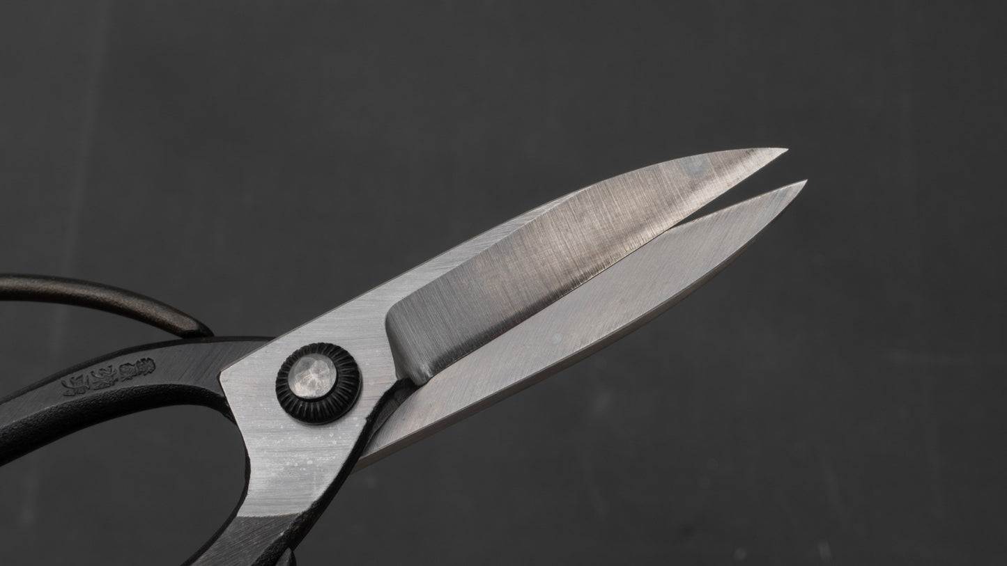 Morihei Kikuyu Kurouchi Okubo Pruning Shears 195mm (Narrow)