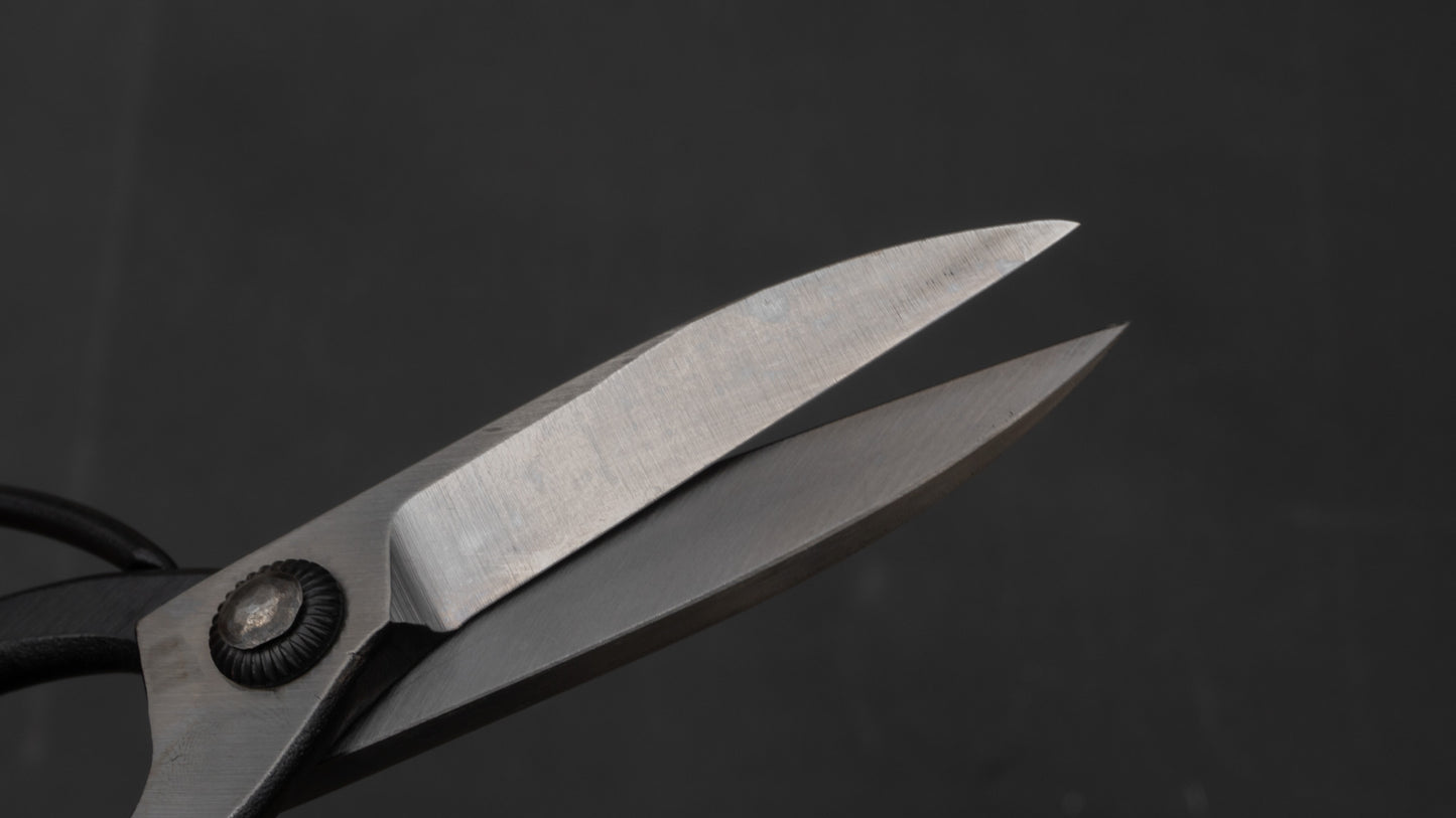 Morihei Kikuyu Kurouchi Okubo Pruning Shears 195mm (Narrow)