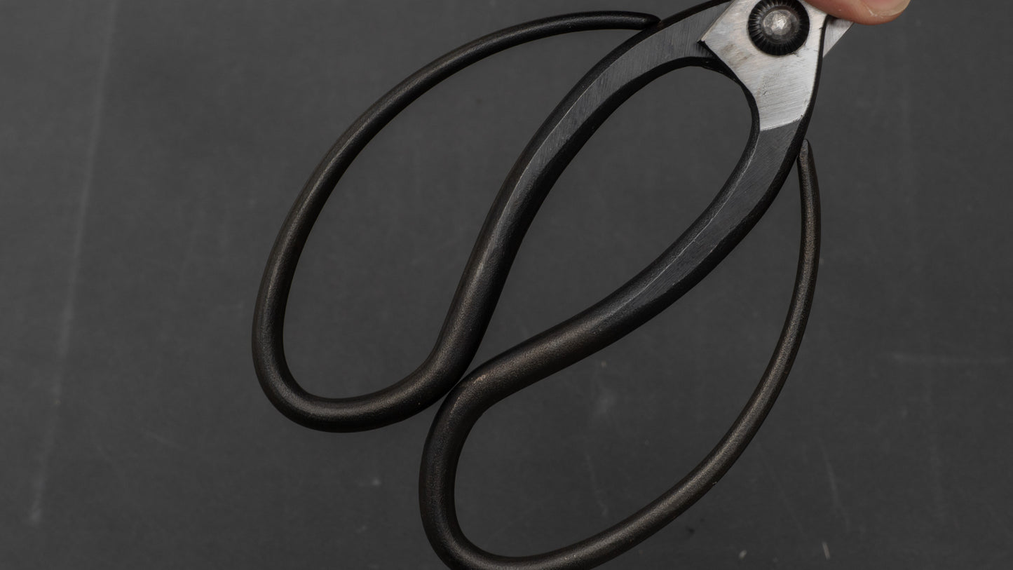 Morihei Kikuyu Kurouchi Okubo Pruning Shears 195mm (Narrow)
