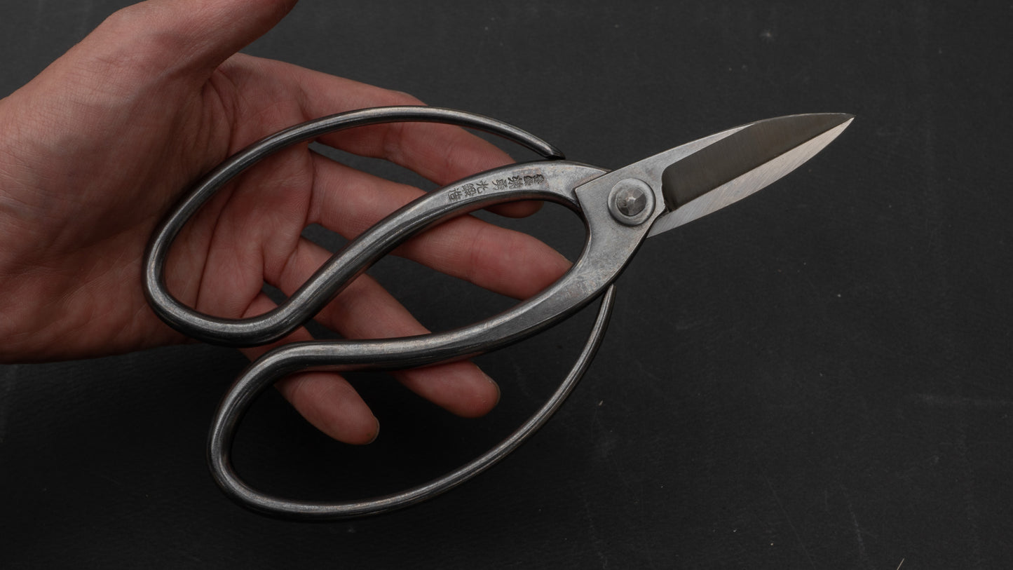 Morihei Kikuyu Stainless Okubo Pruning Shears 180mm