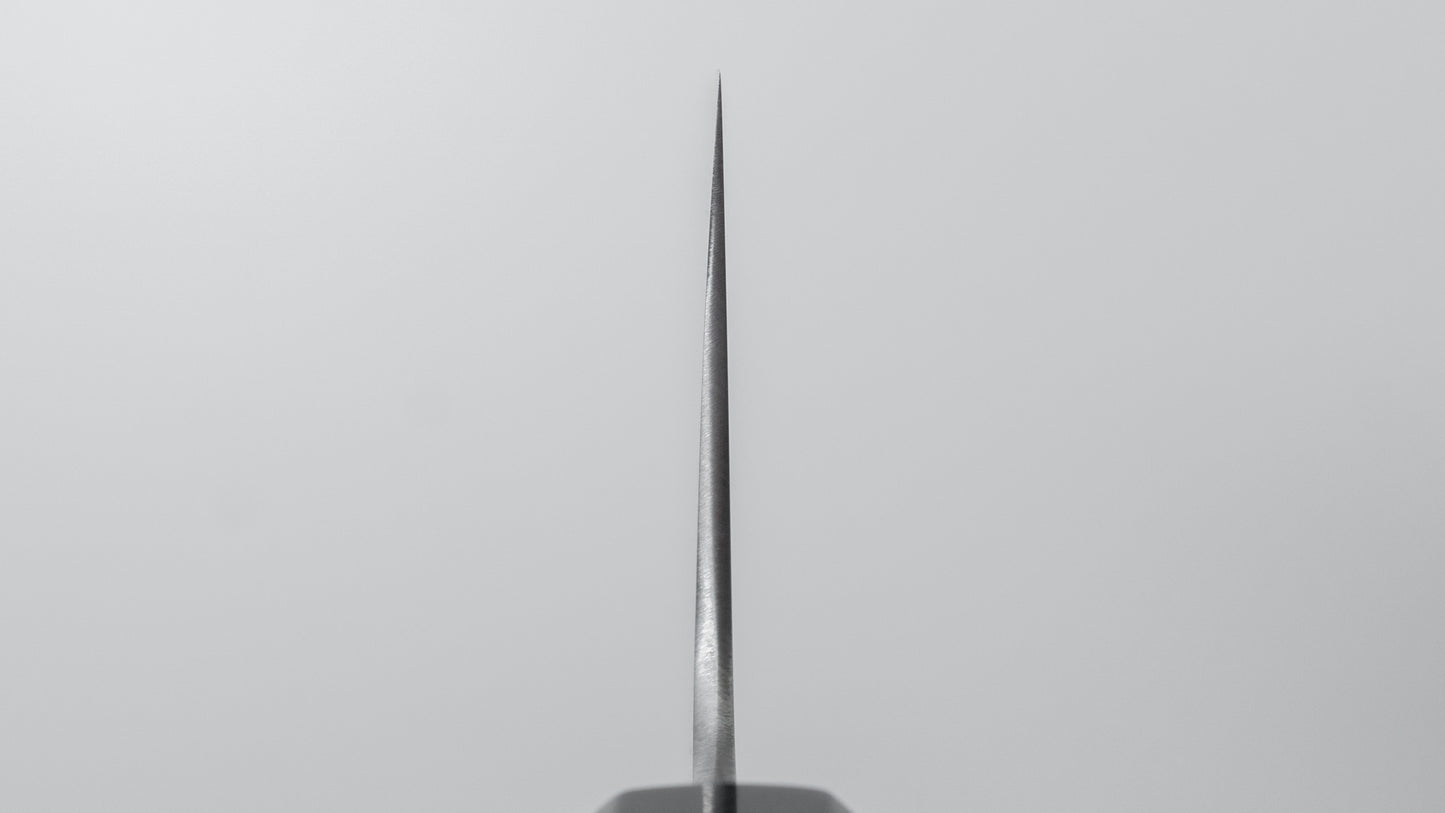 Hitohira Ashi Zweedse roestvrijstalen Gyuto 240 mm Ho-houten handgreep