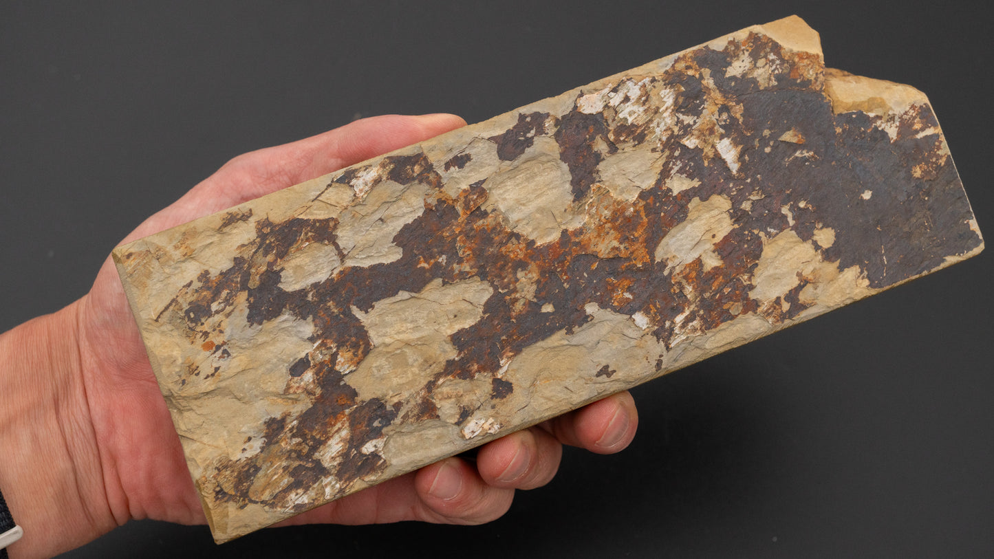 Hitohira Picked Ohira Natural Stone (No.0065)