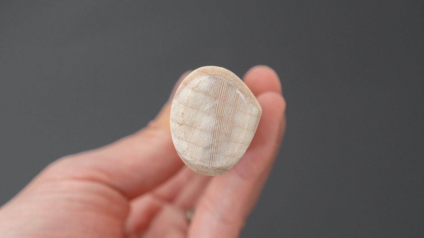 Hitohira Blue Steel Yanagiba 240mm Poplar Handle