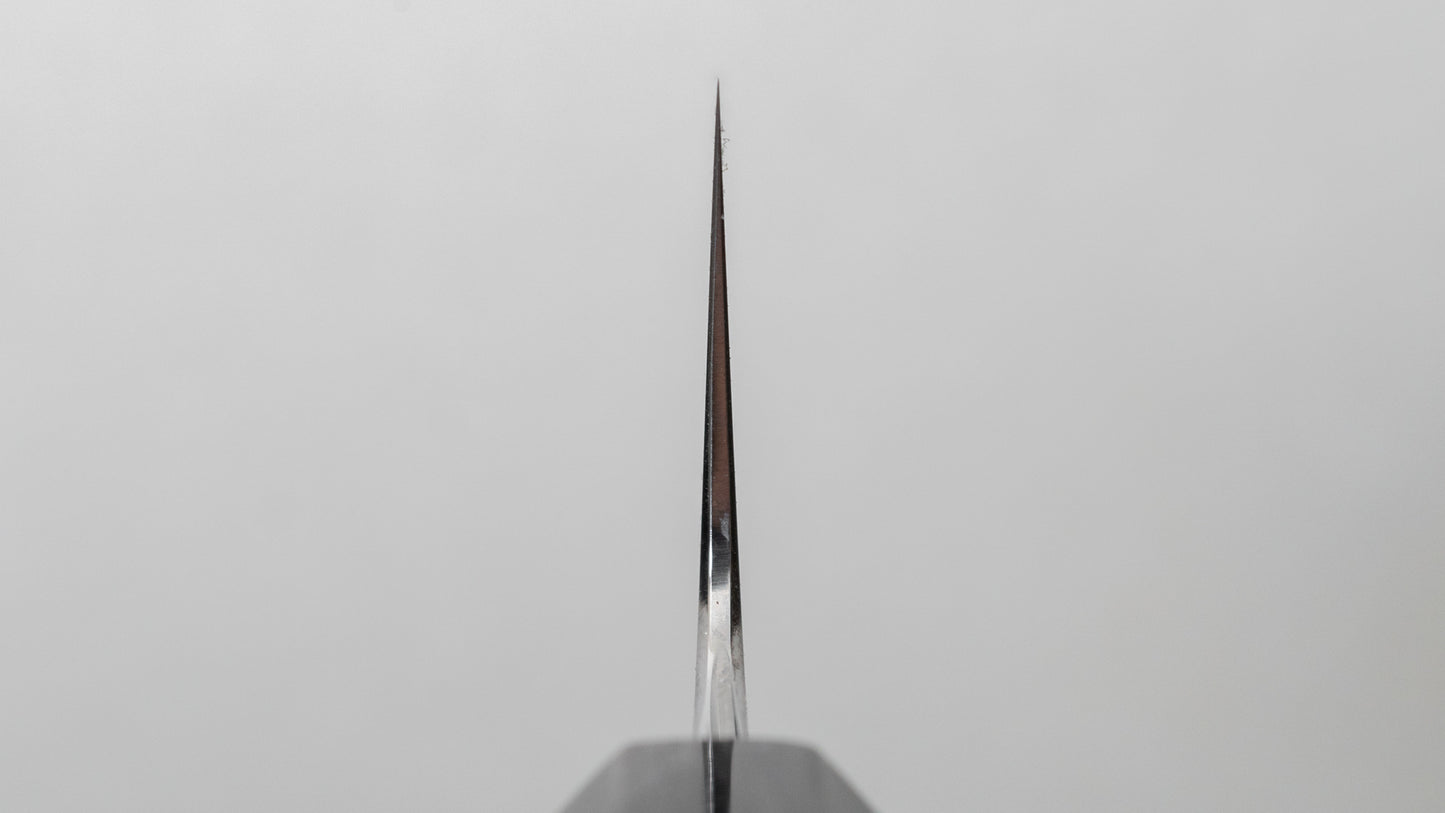 Tetsujin Zilver #3 Ukiba Kiritsuke Gyuto 210 mm Taihei Tagayasan-handvat