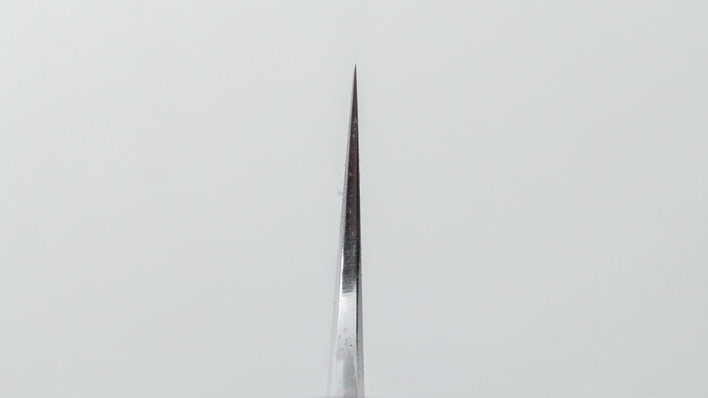 Tetsujin Blue #2 Kasumi Sujihiki 210 mm Ho houten handvat