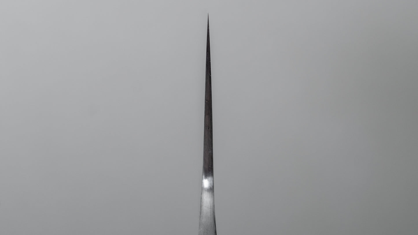 Jiro Tsuchime Yo Gyuto 240 mm Tagayasan-handvat (#539)