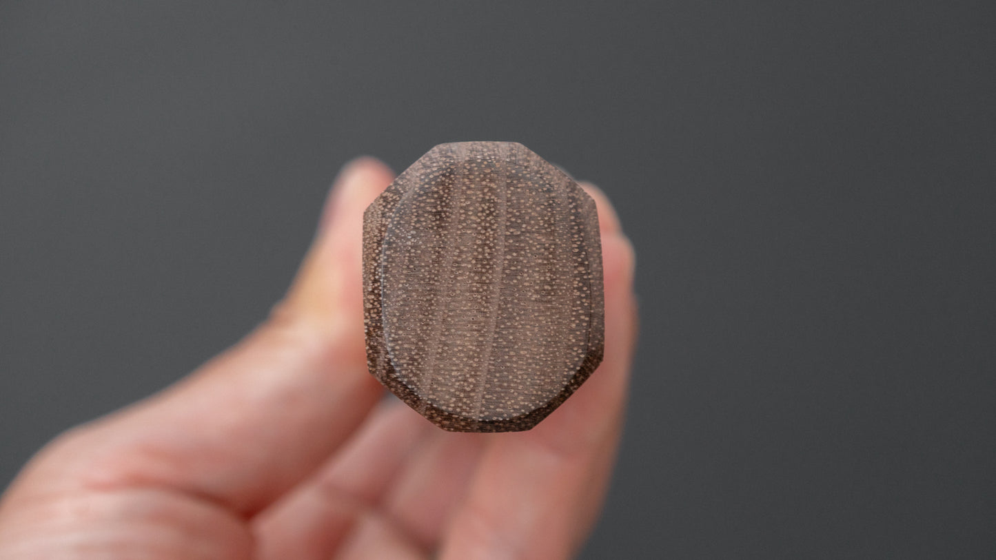 Hitohira Futana Swedish Stainless Nashiji Damascus Gyuto 210mm Walnut Handle