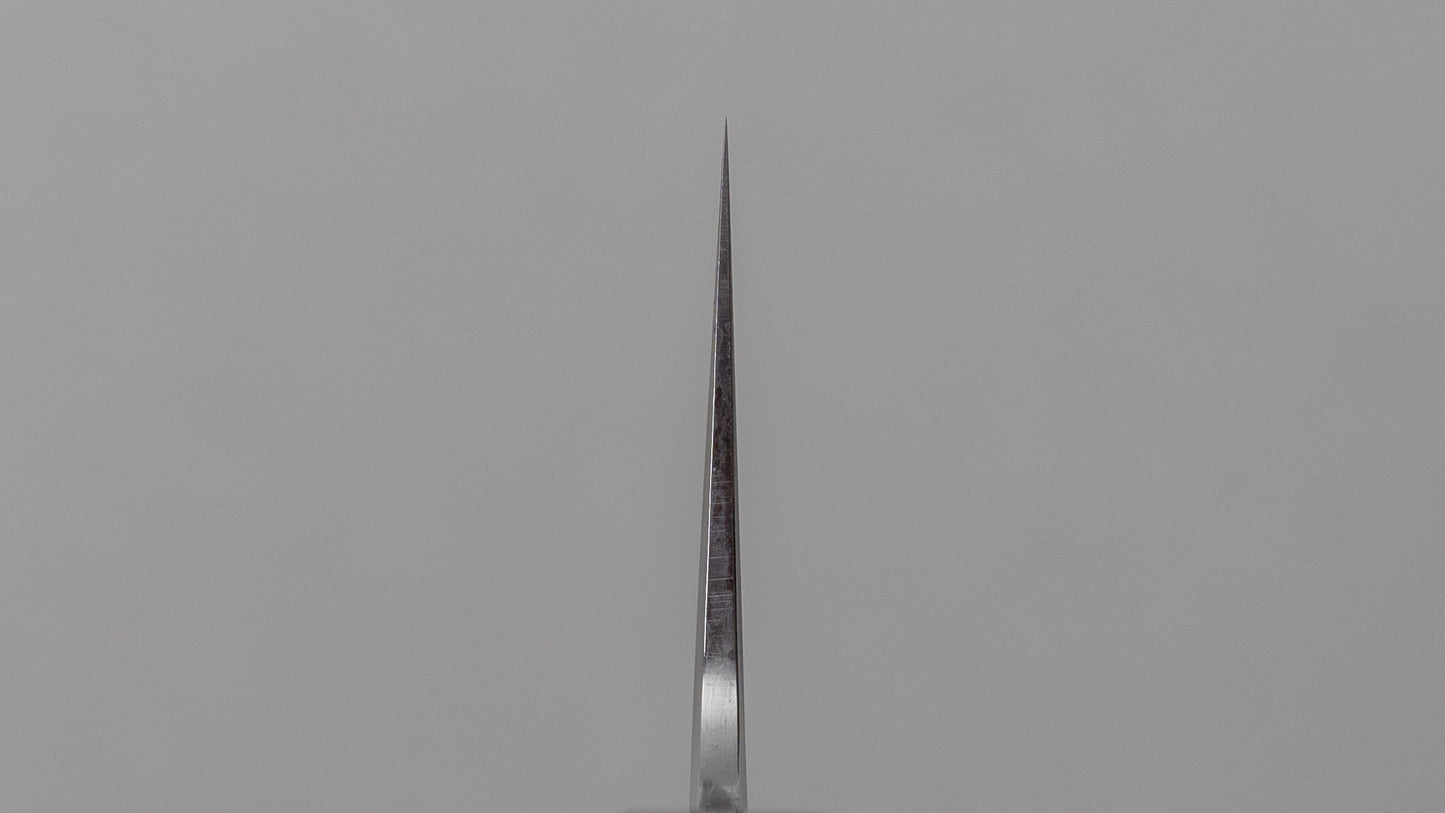 Tetsujin Silver #3 Kasumi Gyuto 210mm Taihei Tagayasan Handle