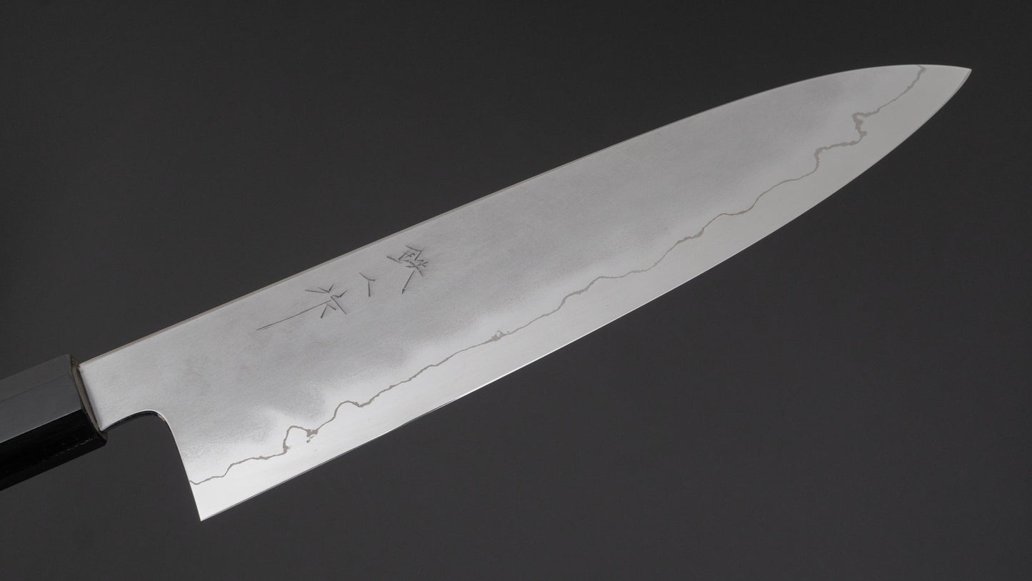 Tetsujin Silver #3 Kasumi Gyuto 240mm Taihei Tagayasan Handle