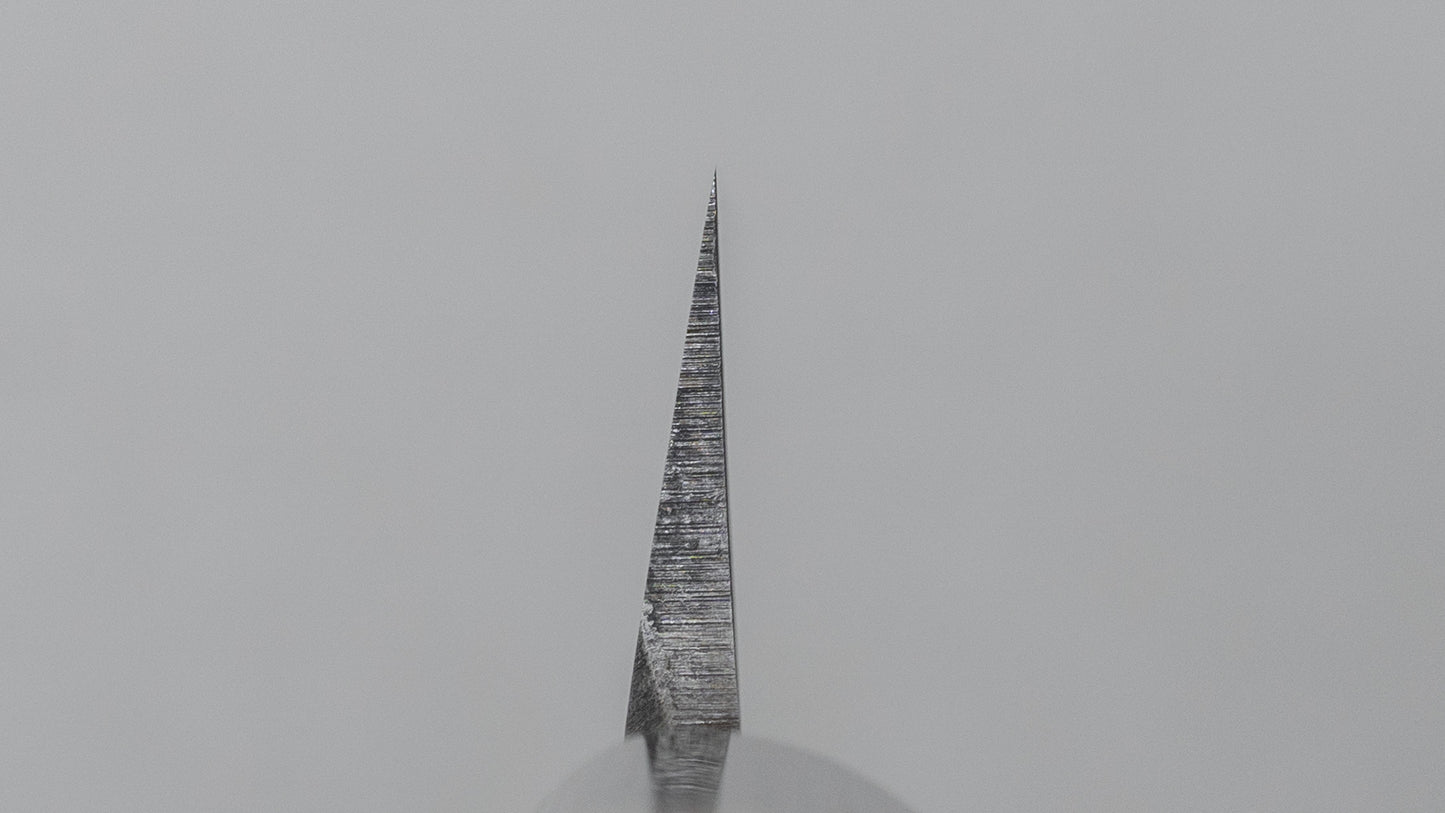 Hitohira Togashi White #2 Yanagiba 300mm Ho Wood Handle (D-shape/Saya)