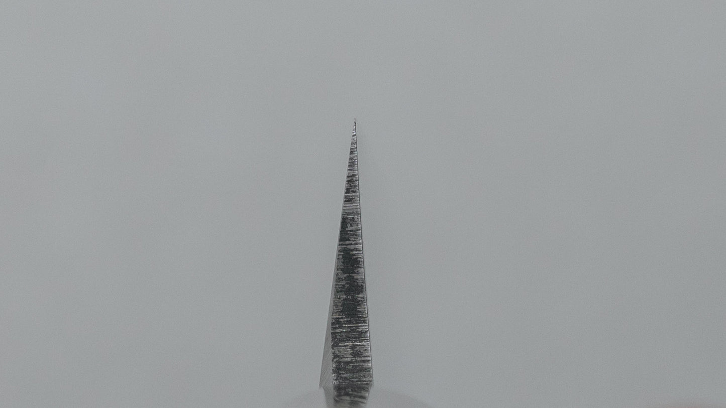 Hitohira Togashi White #2 Yanagiba 270mm Ho Wood Handle D-shape w/ Saya