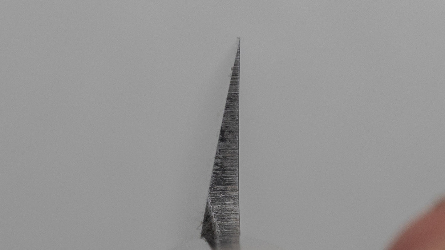 Hitohira Togashi White #2 Yanagiba 240mm Ho Wood Handle (D-Shape/ Saya)