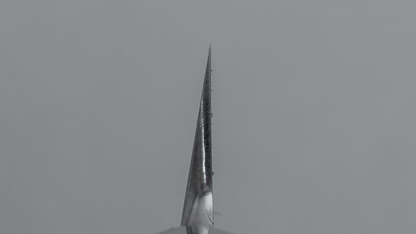 Hitohira Tanaka Manzo Blue #1 Yanagiba 300mm Ho Wood Handle (D-Shape/ Saya)