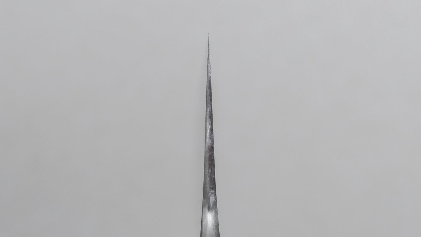 Jiro Tsuchime Wa Gyuto 240 mm Taihei Tagayasan-handvat (#588)