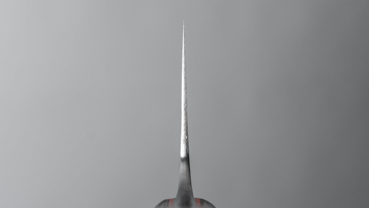 Jiro Tsuchime Yo Gyuto 255 mm Tagayasan-handvat (#459)
