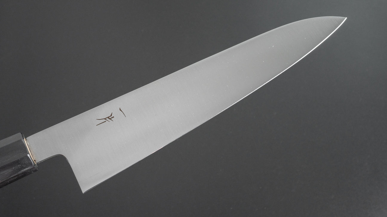 Hitohira FJ VG-10 Gyuto 210 mm Ho houten handvat (Wa)
