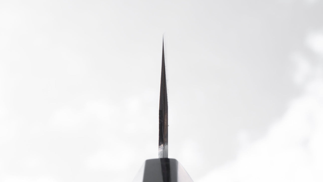 Hitohira Tanaka Kyuzo Blue #1 Migaki Gyuto 210mm Ziricote Handle