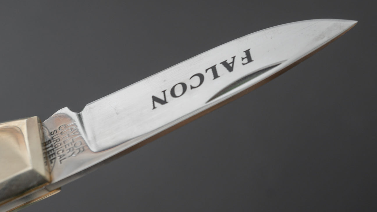 Taylor Bestek FALCON Zakmes 55 mm Elandenhoornhandvat