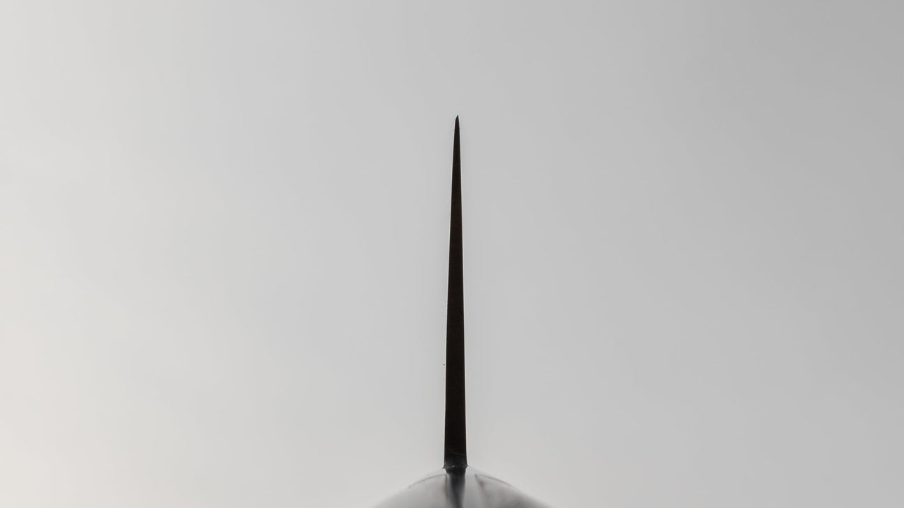 Masafune SK Petty 120 mm palissanderhouten handvat