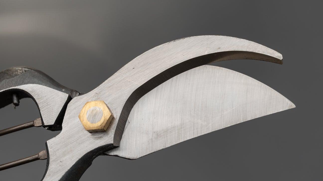 Morihei Kisaku Sentei Pruning Shears 220mm (#33)