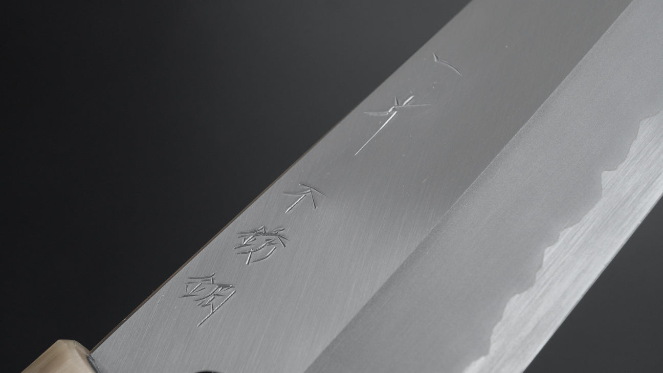 Hitohira Tanaka Kyuzo Blue #1 Stainless Clad Gyuto 240mm Taihei Ebony Handle