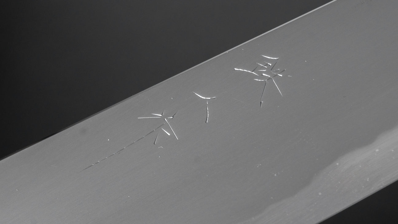 Tetsujin Blue #2 Kasumi Gyuto 240mm Ho Wood Handle