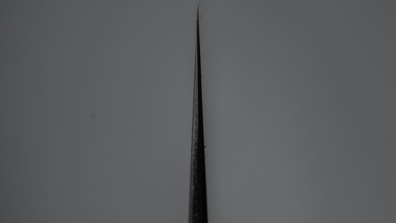 Tetsujin Blue #2 Kasumi Gyuto 240mm Ho Wood Handle