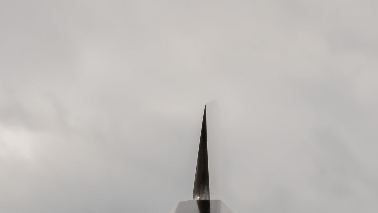 Hitohira Kikuchiyo Mosuke Silver #3 Yanagiba 300mm Ho Wood Handle (Saya)